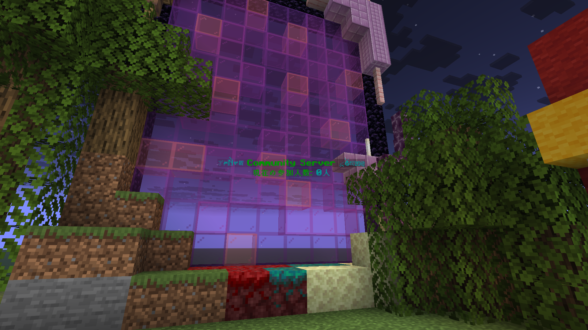 Nether Portal